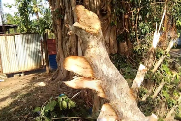 முல்லைத்தீவு மக்கள் விடுத்துள்ள கோரிக்கை!