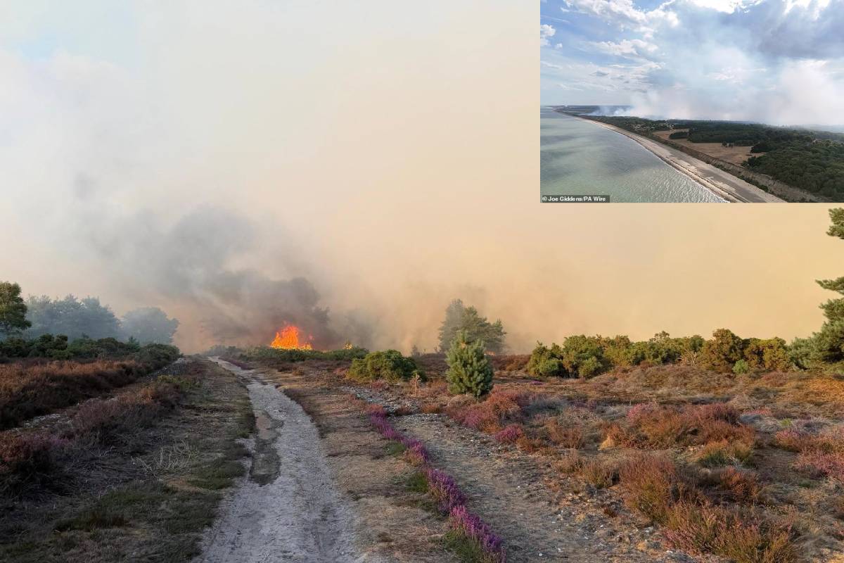 wildfire in suffolk