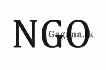 ලියාපදිංචි නොකළ රාජ්‍ය නොවන සංවිධාන සම්බන්ධයෙන් ගත් තීරණය..