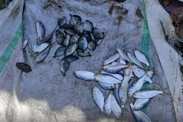 மட்டக்களப்பில் நன்னீர் மீன்களுக்கு அதிகரிக்கும் கேள்வி(Photos)