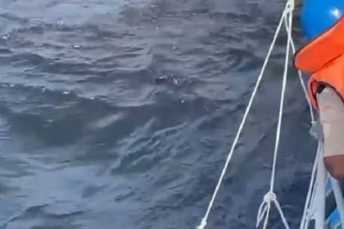 கடற்கரைகளில் அபாயகரமான மசகு எண்ணெய் கசிவுகள்! ஏற்பட்டுள்ள புதிய சிக்கல் | Dangerous Type Of Lubricant On The South Coast