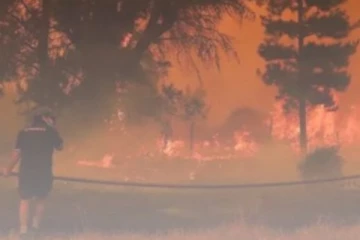 අදික වියලි කාලගුණය නිසා රටකට වුණු දේ..