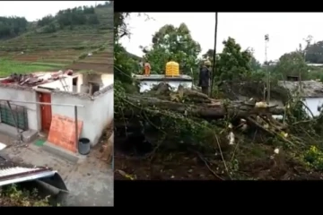 காற்றுடன் வெளுத்து வாங்கும் தொடர் மழை - கொடைக்கானலில் 3 வீடுகள் சேதம்