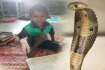 தாயை காப்பாற்ற  சென்ற  5 வயது  சிறுவனுக்கு நேர்ந்த பெரும் துயரம்!