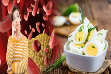 கொலஸ்ட்ரால் இருப்பவர்கள் முட்டை சாப்பிடலாமா? ஆய்வு சொல்லும் உண்மை