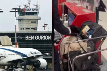 குழந்தைக்கும் டிக்கெட் கேட்ட அதிகாரிகள்; விமான நிலையத்தில் பெற்றோரின் அதிர்ச்சி செயல்!