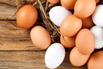 බිත්තර බෙදාහැරීම අත්හිටුවයි..