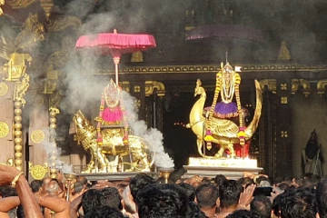 நல்லூர் கந்தனின் மாம்பழ திருவிழா (நேரலை)