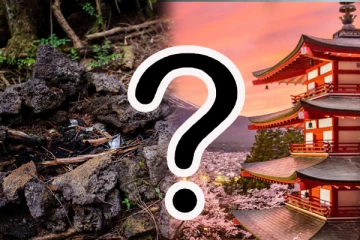 தற்கொலை செய்தற்காவே தனி காடு கொண்ட நாடு எது தெரியுமா? சுவாரஸ்ய தகவல் இதோ!