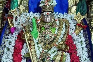 நவராத்திரியில் இந்த செடிகளை நட்டால் போதும்! செல்வங்கள் வந்து சேரும்