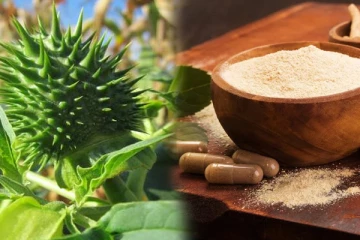 பல பிரச்னைகளுக்கு அருமருந்தாகும் அஷ்வகந்தா