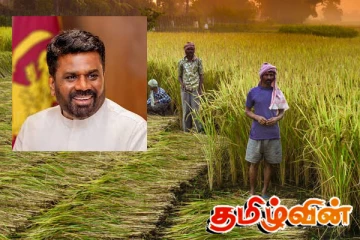 தேசிய மக்கள் சக்தியின் ஆட்சியில் தொழிலாளர்களுக்கு முன்னுரிமை! பிரதியமைச்சர் டீ.பி.சரத் பெருமிதம்