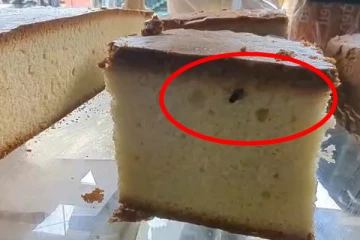 கேக்கில் ஈ ; பொது சுகாதார பரிசோதகர்களின் அதிரடி