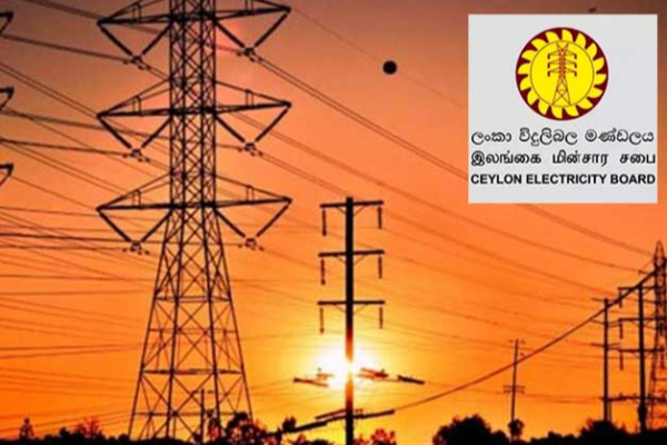 தனித்தனி நிறுவனங்களாக மறுசீரமைக்கப்பட்ட இலங்கை மின்சார சபை | Ceylon Electricity Board Restructured Into Units