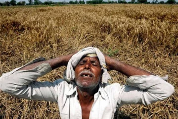 அறுவடையில் பாரிய நஷ்டம் விவசாயிகள் கவலை