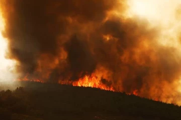 14 பகுதிகளில் பற்றியெரியும் காட்டுத்தீ... தகிக்கும் ஐரோப்பிய நாடொன்று