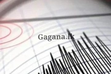 හදිසි භූ කම්පන තත්ත්වයක්..