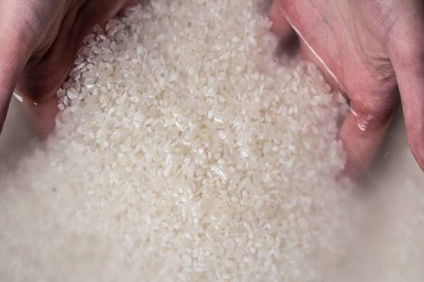 வேகவைத்த அரிசி நீரில் இந்த பொருளை கலந்து குடிங்க - ஆச்சரியப்படுத்தும் நன்மைகள் | Health Benefits Cooked Rice Water With Black Salt