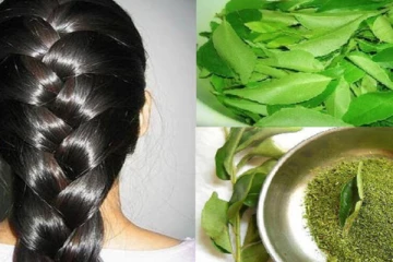 முடி வளர்ச்சிக்கு உகந்தது கறிவேப்பிலை...