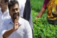அநுர அரசின் 200 ரூபாய் கொடுப்பனவை வழங்காமல் தோட்ட நிர்வாகம் புதிய திட்டம் - தொழிற்சங்கம் குற்றச்சாட்டு