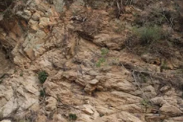 Optical Illusion: மலையில் தாவித்திரியும் மானை ஏழு நொடிக்குள் கண்டுபிடிக்க முடியுமா?