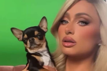 காணாமல் போன நடிகையின் நாய்! கண்டுபிடித்தால் இத்தனை லட்சம் பரிசா?