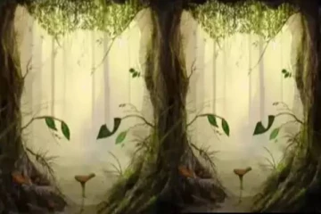 உங்க தனிப்பட்ட வாழ்க்கை எப்படி-ன்னு தெரிஞ்சிக்க ஒரு Test: படத்தில் தெரிவது என்ன?