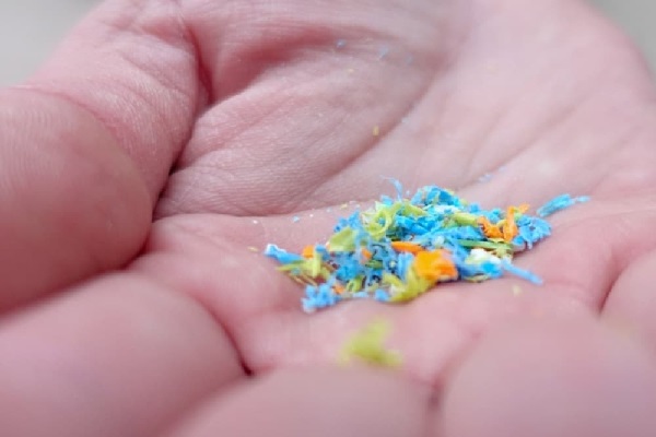 தாய்ப்பாலில் மைக்ரோ பிளாஸ்டிக்.. தாய்மார்களே கவனம் - அதிர்ச்சி தகவல்! | Microplastics In Human Breast Milk