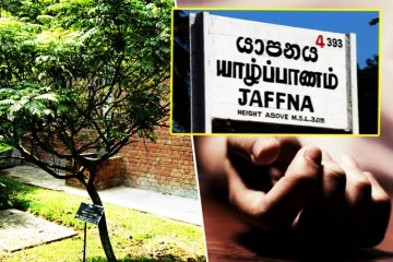 யாழில் கறிவேப்பிலை பறிக்க மரத்தில் ஏறியவருக்கு நேர்ந்த கதி!