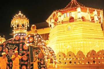 සියවස් ගණනාවක් පුරා පැවත එන මහනුවර ඇසළ පෙරහර සම්බන්ධයෙන් ගන්න යන තීරණයකට කැබිනට් අනුමැතිය