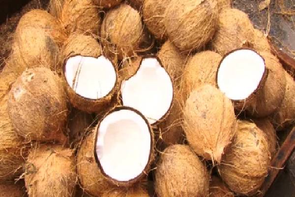 தேங்காய் விலையில் ஏற்பட்டுள்ள மாற்றம் | Coconut Prices Rise Again In Sl