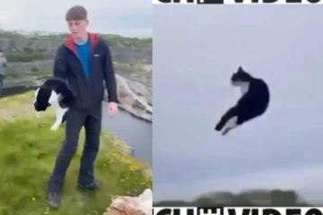 மலை உச்சியில் இருந்து பூனையை தூக்கி எறிந்து கொடுங்செயல்! பிரித்தானிய இளைஞர் கைது