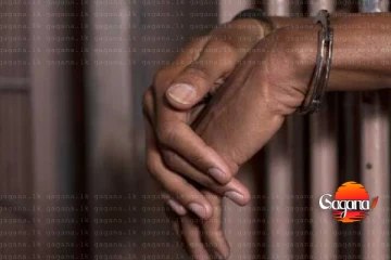 ඉන්දියාවේ දී අත්අඩංගුවට ගත් කෙසෙල්වත්තේ දිනුකට පැය 72ක රැඳවුම් නියෝග