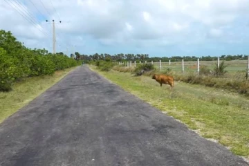 பறிபோகும் நிலையில் காணிகள்: நிலத்தை காக்க போராடும் கப்புதூ கிராம மக்கள்!