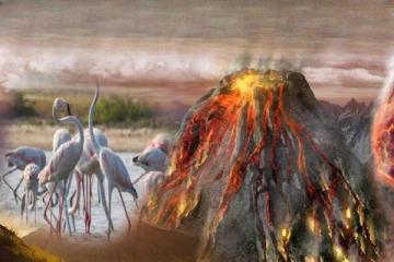 எரிமலையை சுற்றி வாழும் உயிரினங்கள் - உங்களுக்கு ஒன்றாவது தெரியுமா?