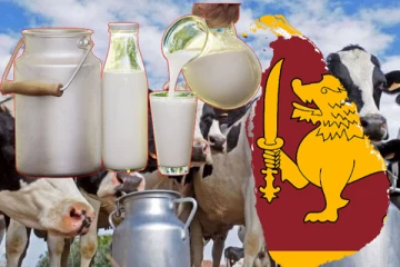 இலங்கையில் பால் உற்பத்தி தொடர்பில் கால்நடைத் திணைக்களம் வெளியிட்டுள்ள அறிவிப்பு