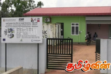 கிளிநொச்சியில் முன்னெடுக்கப்பட்ட கொடித்தோடை செய்கை திட்டம் தோல்வி