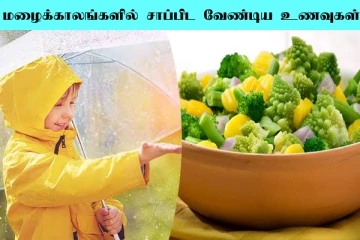 மழைக்காலத்தில் எந்த மாதிரியான உணவுகளை எடுத்துக் கொள்ள வேண்டும்?