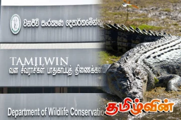 மட்டக்களப்பில் வீடு ஒன்றுக்குள் புகுந்த முதலையை மடக்கி பிடித்த மக்கள்