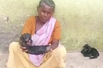 காலே இல்லாமல் பிறந்த ஆட்டு குட்டி! கண்ணீர் சிந்திவிட்டு அடுத்த நொடியே வளர்ப்பு பெண் செய்த நெகிழ்ச்சி செயல்