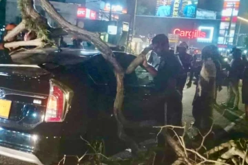 பயணித்துக்கொண்டிருந்த கார் மீது முறிந்து விழுந்த மரக்கிளை; தெய்வாதீனமாக தப்பிய உயிர்கள்