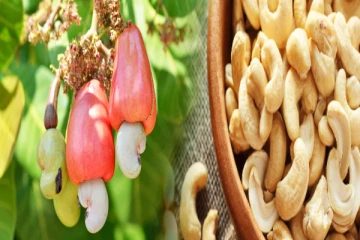 புத்தாண்டு காலத்தில் முந்திரி பருப்புக்கு அதிக கேள்வி