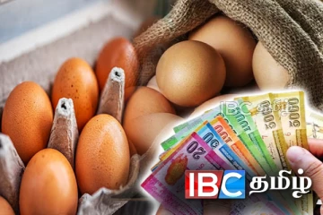 முட்டை விலை தொடர்பில் வெளியான தகவல்