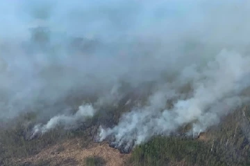 பிரிட்டிஷ் கொலம்பியாவில் காட்டுத்தீப் பரவுகை அனர்த்தம் தீவிரம்