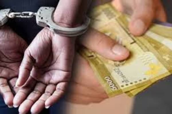 முருகன் ஆலயத்தில் பணப்பையை திருடிய பெண்ணுக்கு நேர்ந்த கதி | Woman Arrested In Murugan Temple