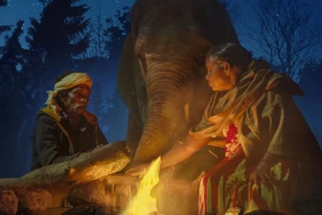 ஒஸ்கார் விருதினை வென்ற தமிழ் ஆவணப்படம் தி எலிபெண்ட் விஸ்பரர்ஸ் !