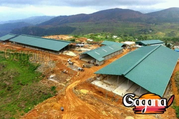 මිය යාමට ආසන්න සතුන් මසට විකුණන ගොවිපලක් හසු වේ