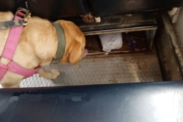 மன்னாரில் தனியார் பேருந்தில் மீட்கப்பட்ட மர்ம பொருள்! | Kerala Ganja Recovered From Private Bus In Mannar