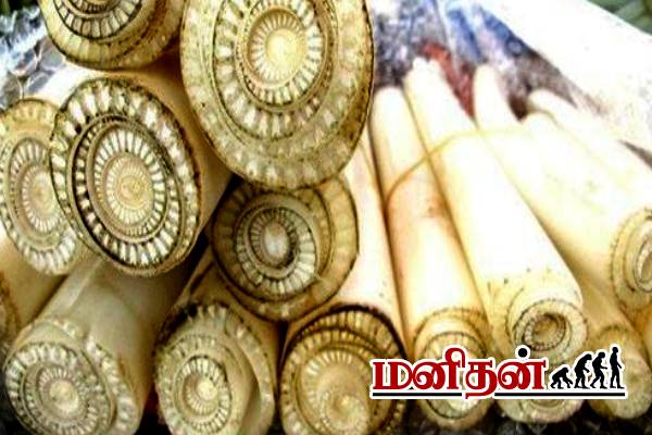 கிட்னியை சுற்றி பாதுகாப்பு வளையம் போடும் வாழைத்தண்டு