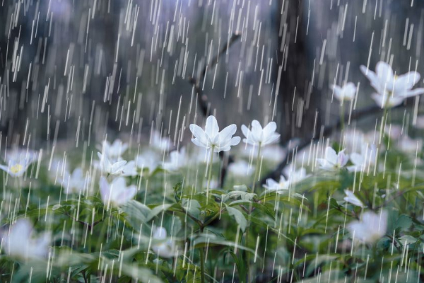 இடியுடன் கூடிய மழைக்கு வாய்ப்பு! | Chance Of Thunderstorms